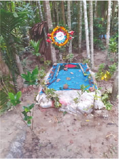 Photo of মো: আমিনুল ইসলাম সাব্বির